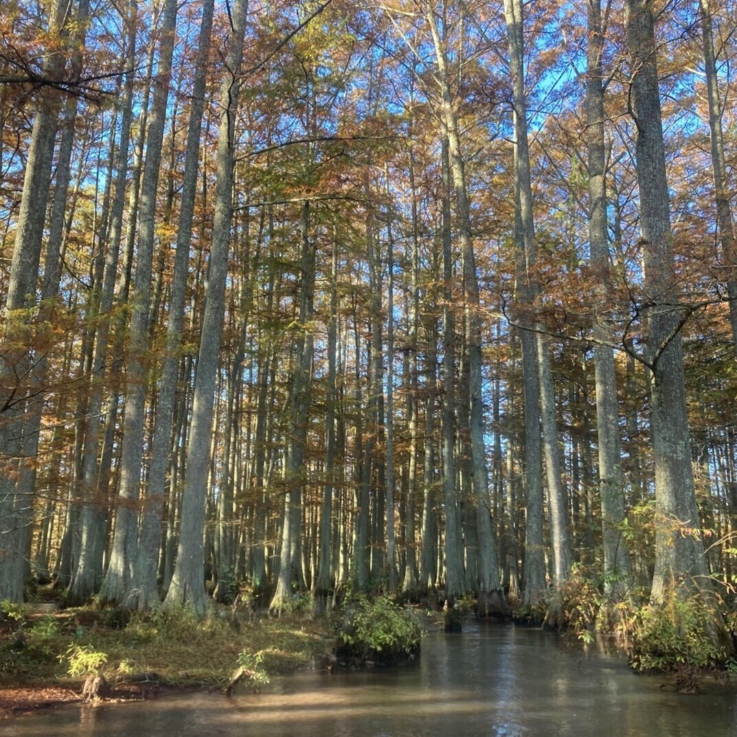 First Saturday Paddle — December 2025 - logo